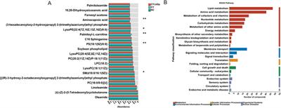 Integration of metabolomics and transcriptomics to reveal anti-immunosuppression mechanism of Lycium barbarum polysaccharide